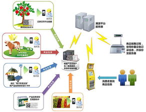 物聯網技術賦能產業升級 防偽、食品安全與新材料研發的革新應用